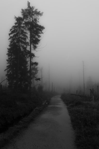 Into Silence