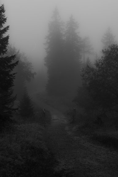 The Last Path