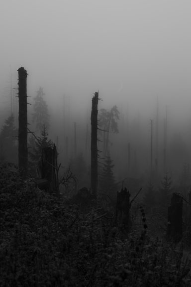 Silent Remnants