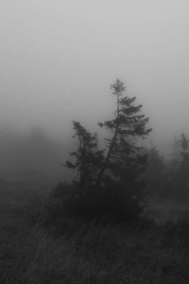 Bent by Silence