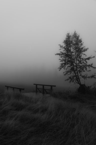 Waiting for Silence