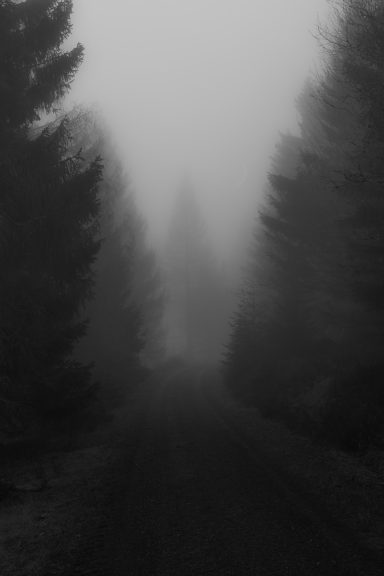 The Road Beyond