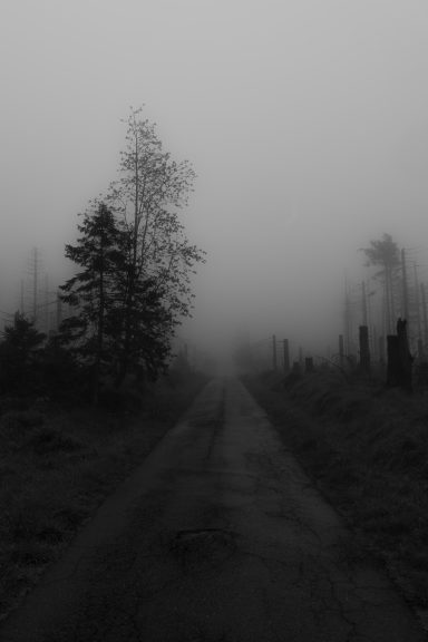 Vanishing Point