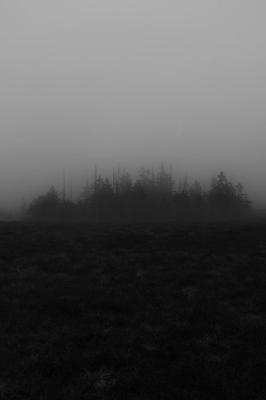 Island of Silence